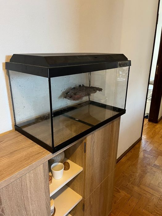 Aquário Tartaruga JUWEL Primo 60 c/ iluminação LED (61 x 31 x 36,5 cm)
