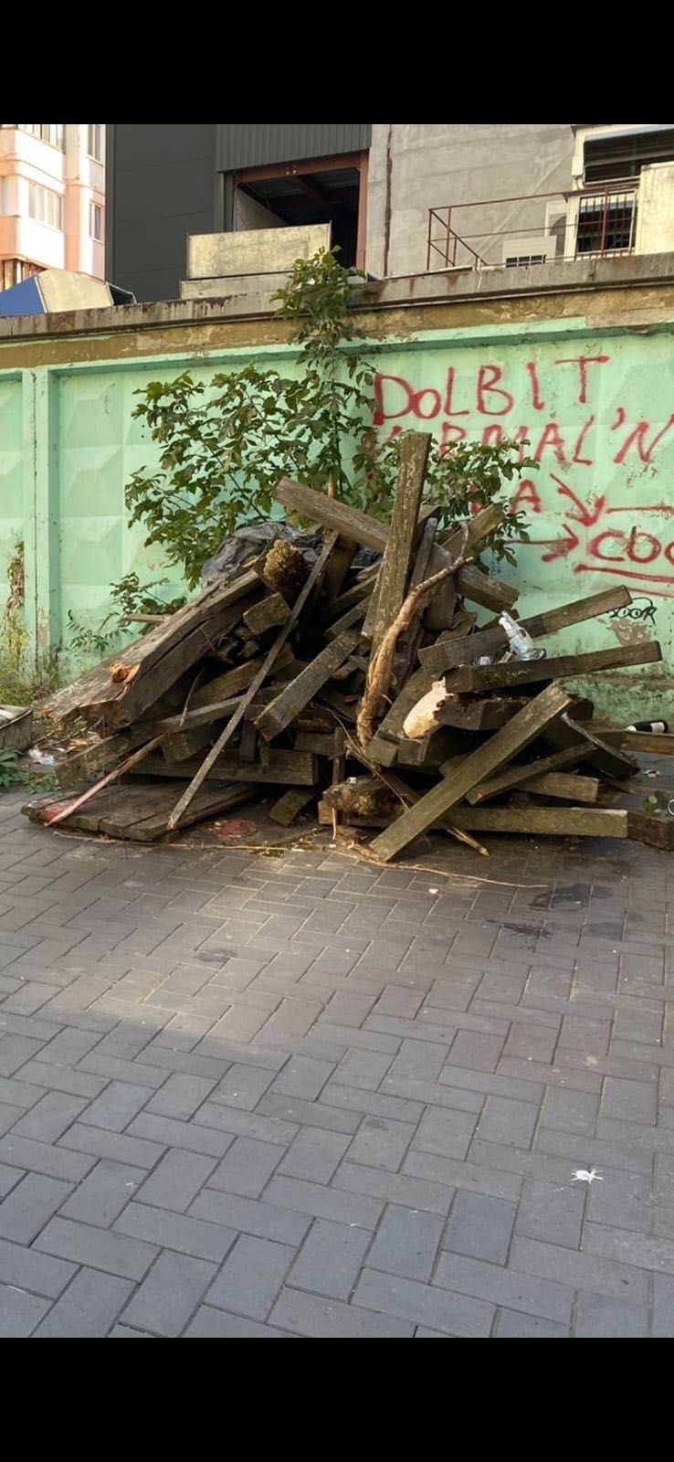 Дерево на дрова даром