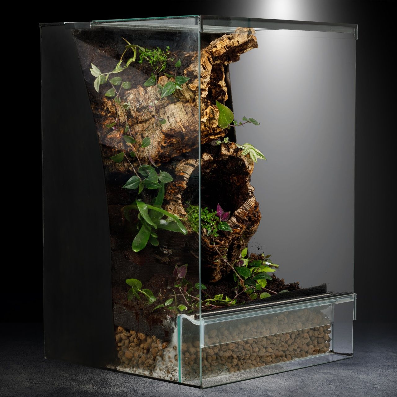 Terrarium 40x40x60 gekon paludarium