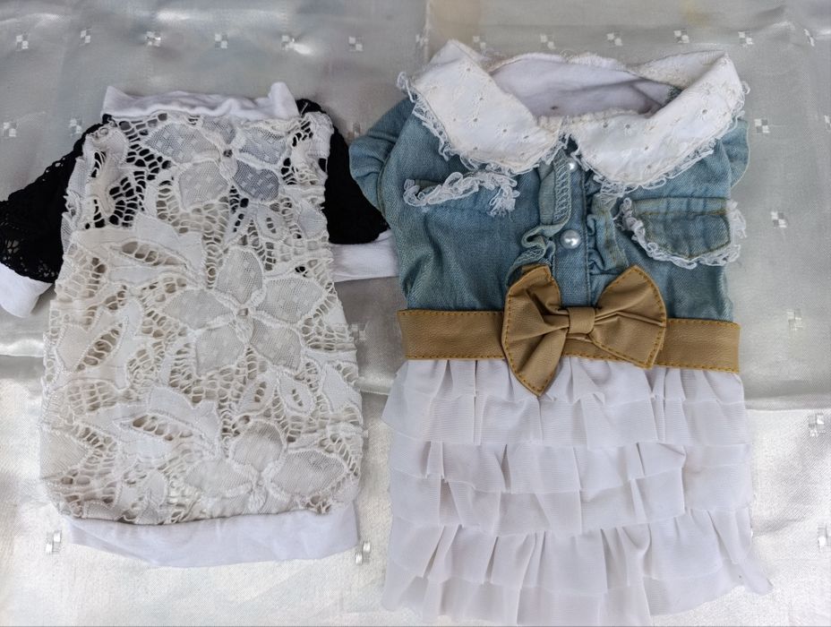 Одяг для маленьких порід собак