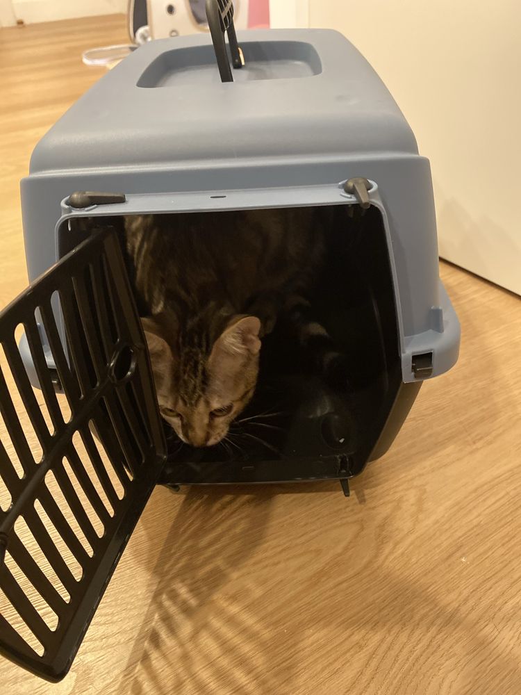 Transportador gatos/caes ate 3kg