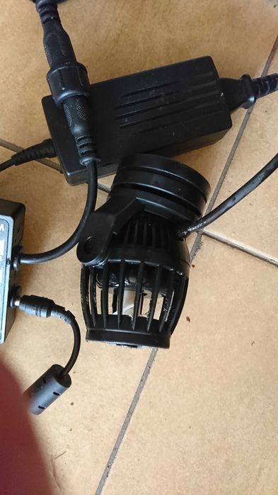 Ryby i korale Morskie