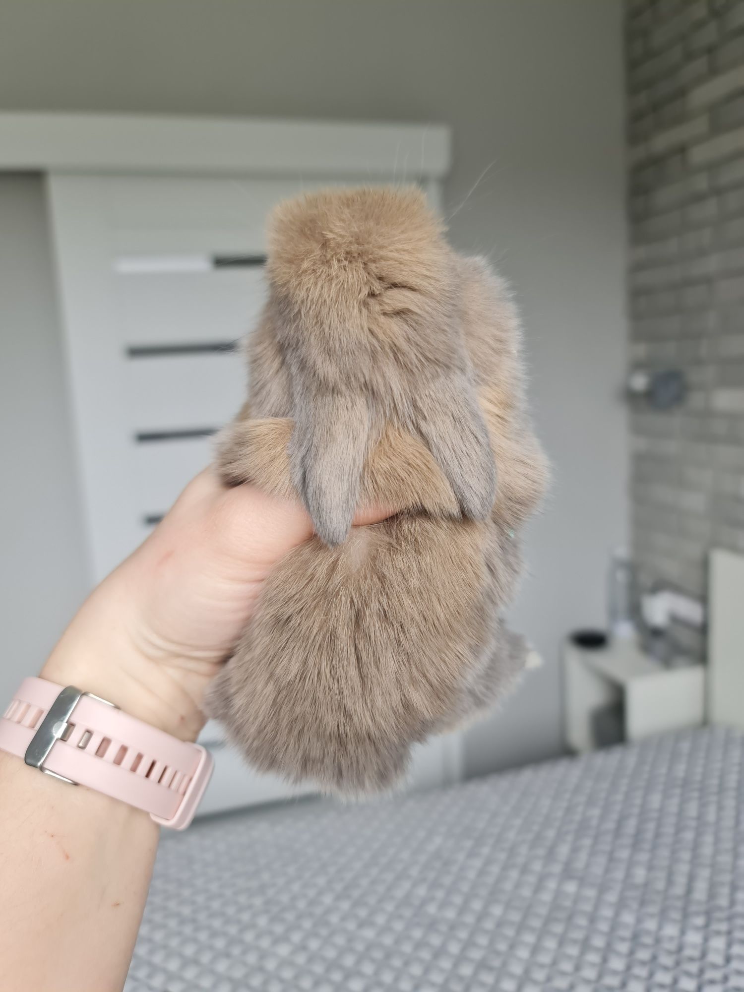 Mini lop królik króliczek baranek miniaturka hodowla badania chip