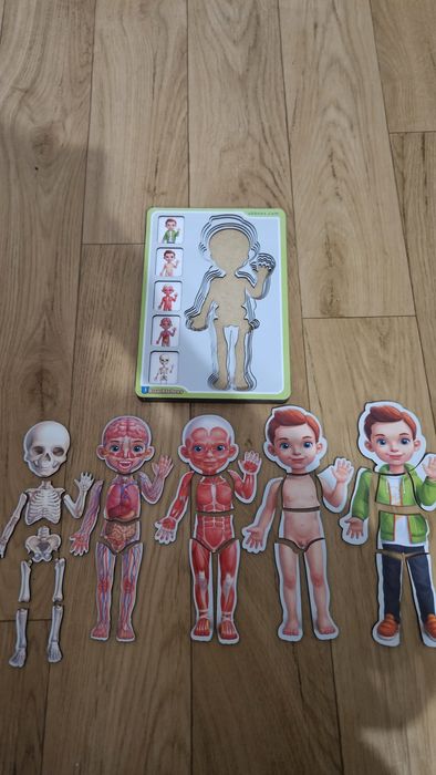 Продам сортер-пазл "Анатомія людини"