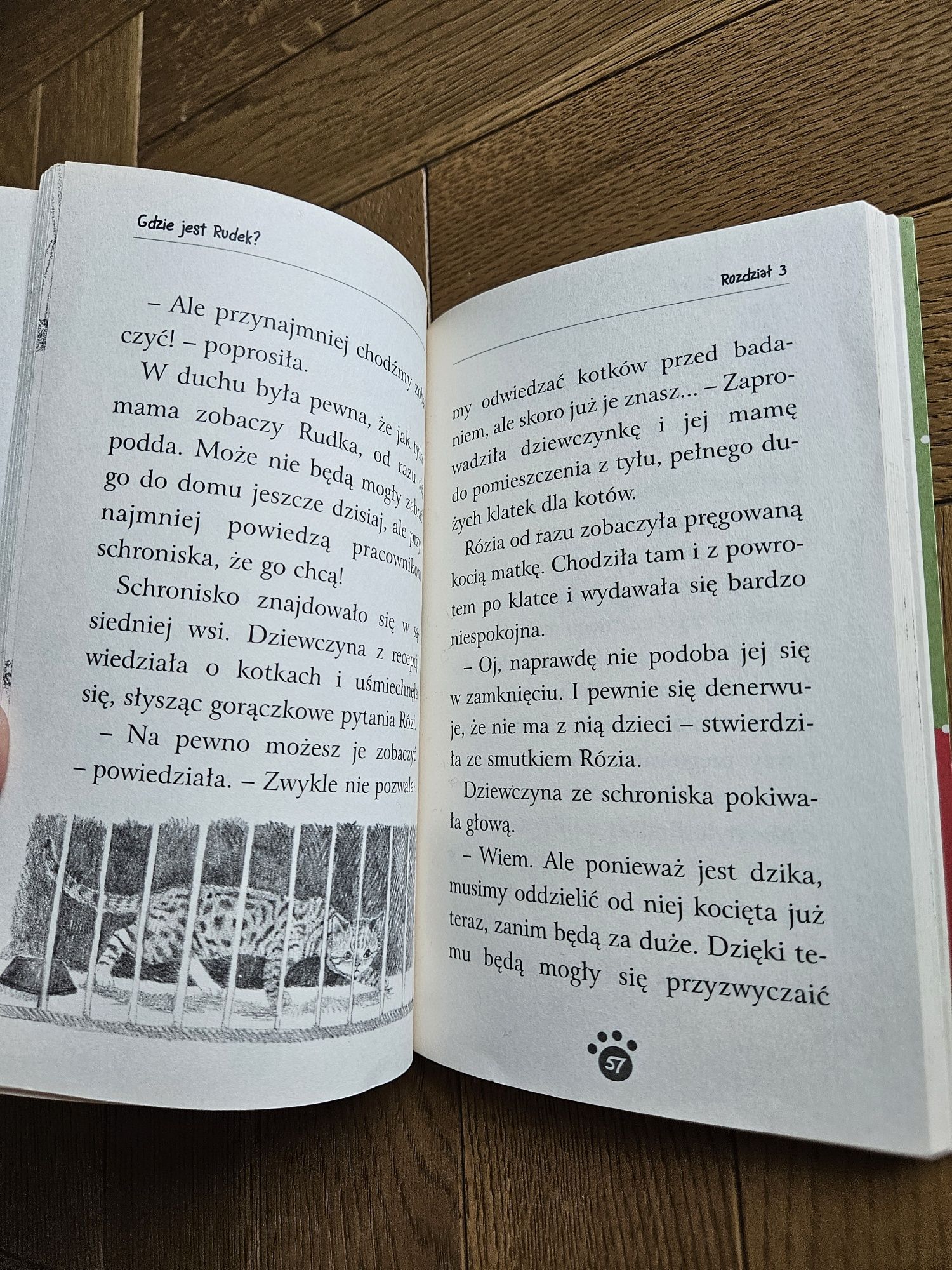 Zaopiekuj się mną.  Gdzie jest Rudek.