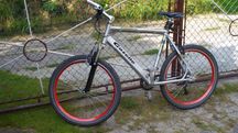 Gazelle Xtreme 2