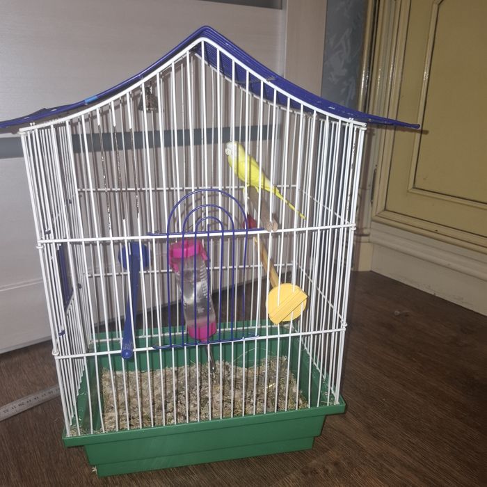 Клітка для папуги