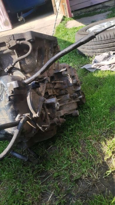 Аккп кіа карнівал