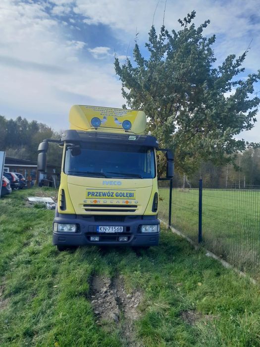 Iveco Eurocargo  Iveco Eurokargo do zabudowy