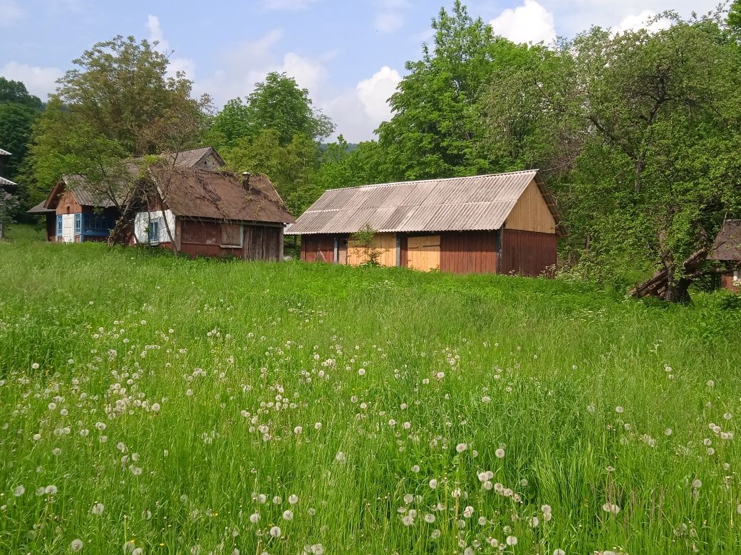 Будинок із земельною ділянкою