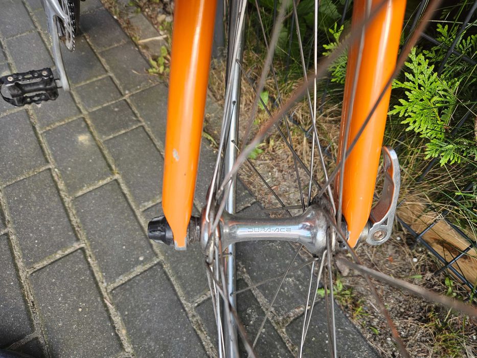 Kolarzówka Arka Szosa