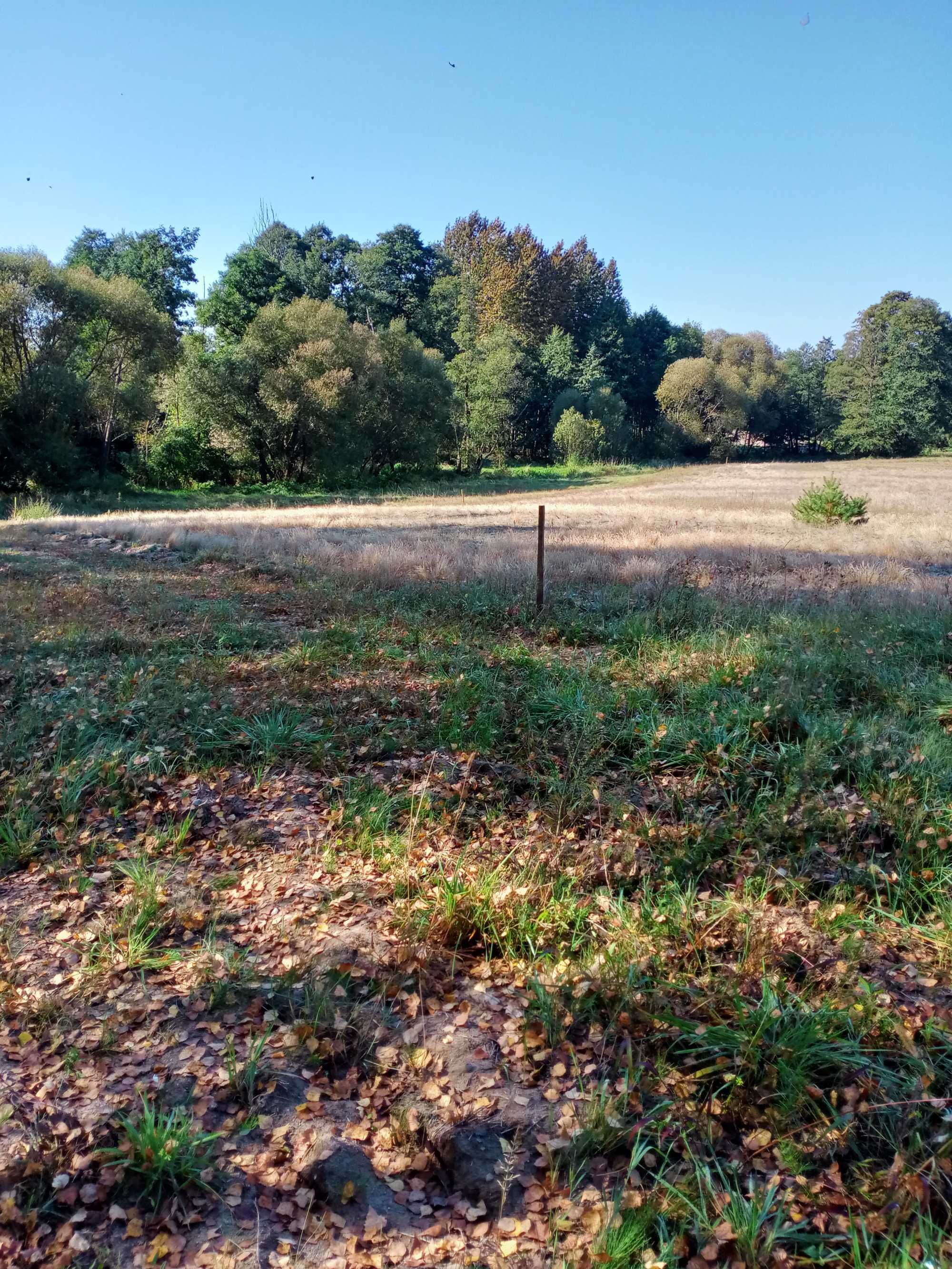 Ładna działka (z opcją dokupienia 4) Ostrówka, Kazanów, Zwoleń