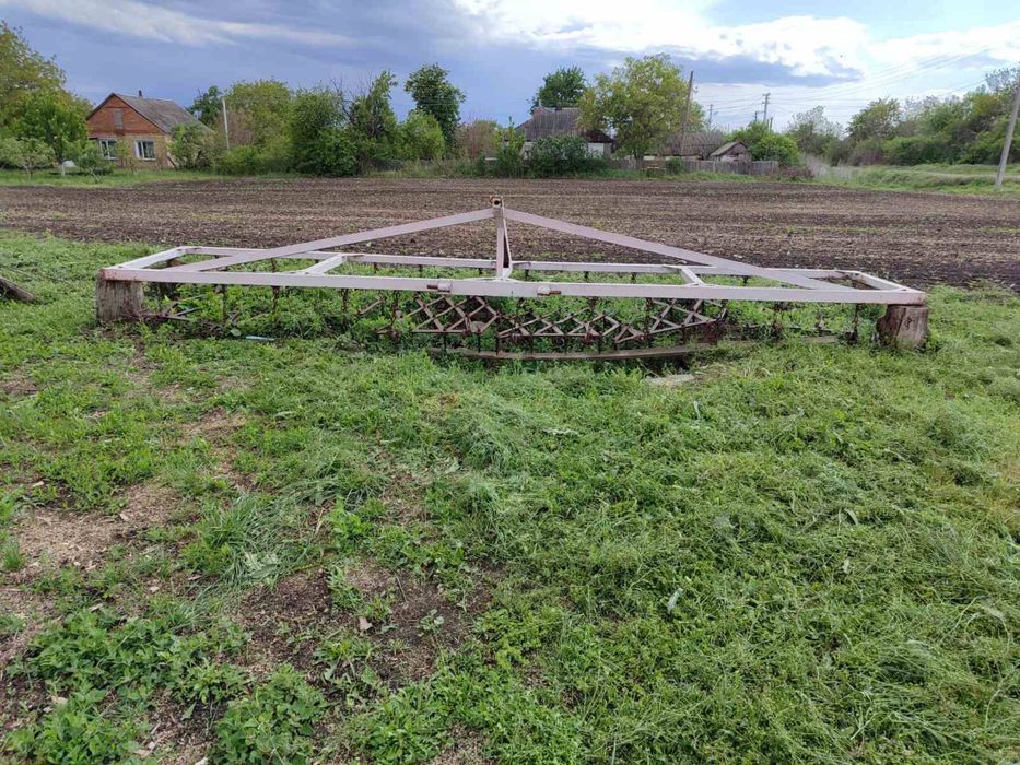 Борона зубова