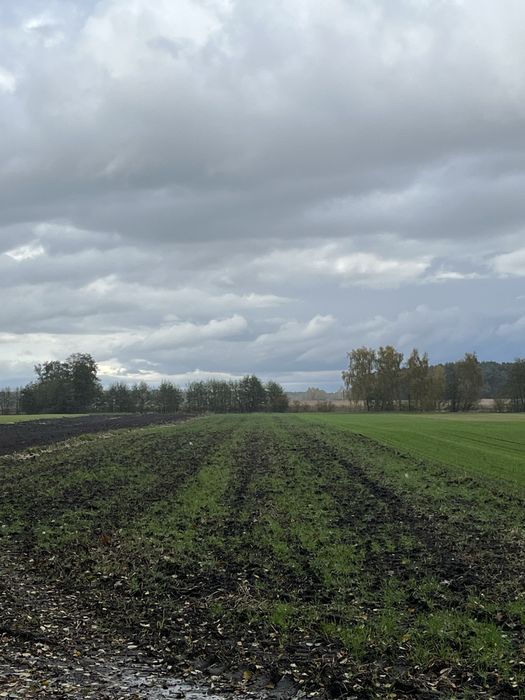 Sprzedam działkę/ grunt rolny z lasem