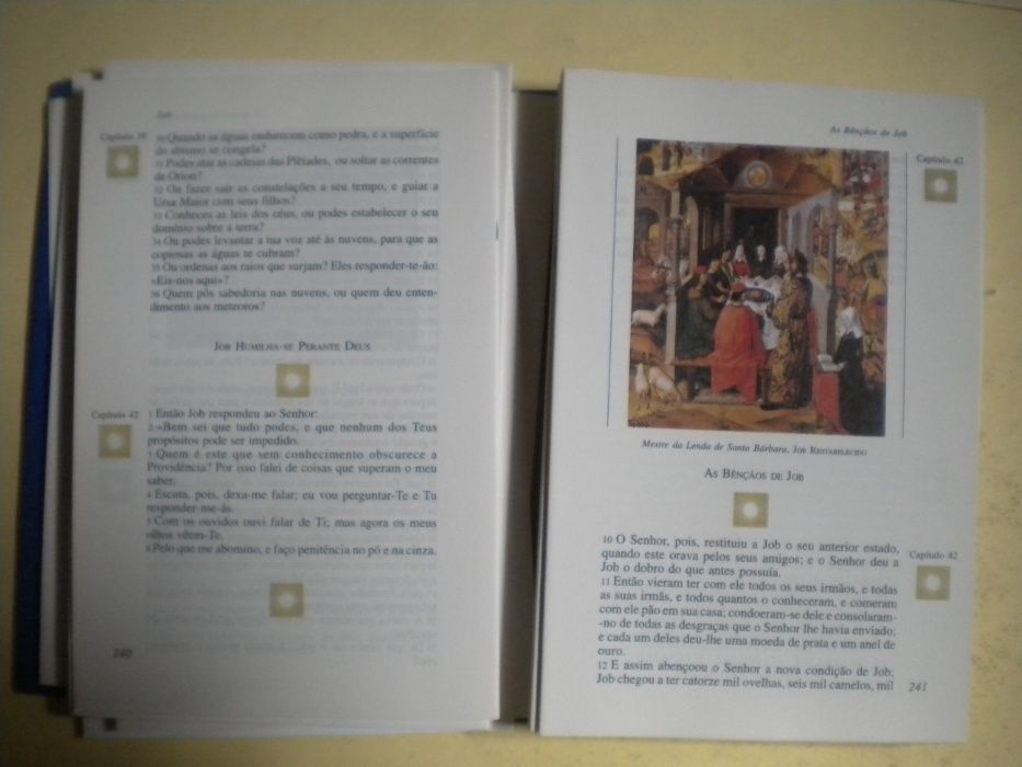 Bíblia Sagrada - Selecção de Textos ilustrados