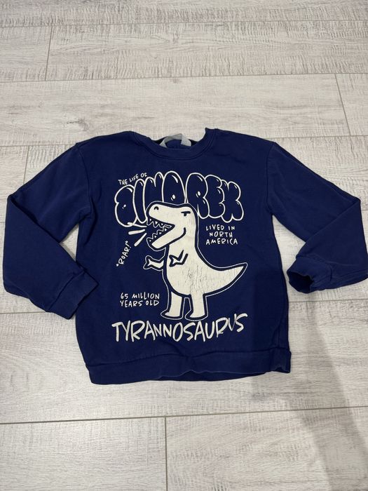 Niebieska bluza z dinozaurem