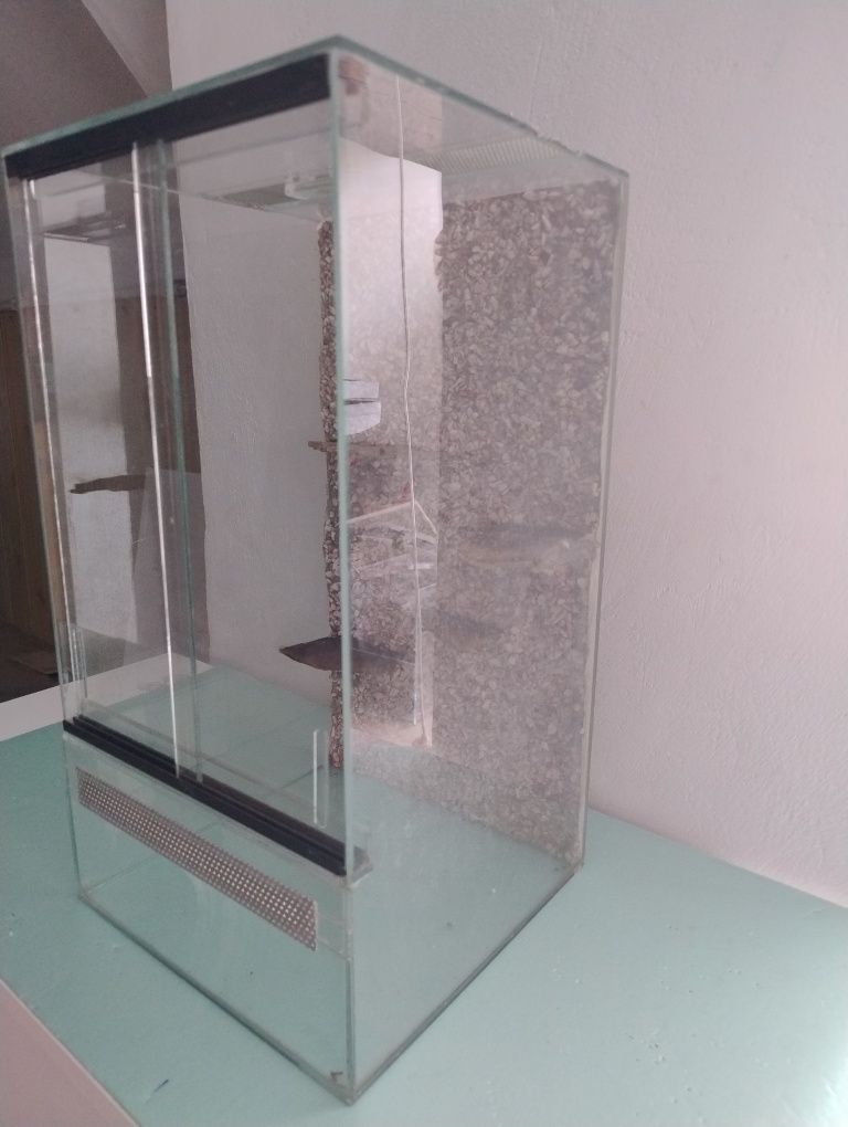 Terrarium pionowe 30x30x50 cm