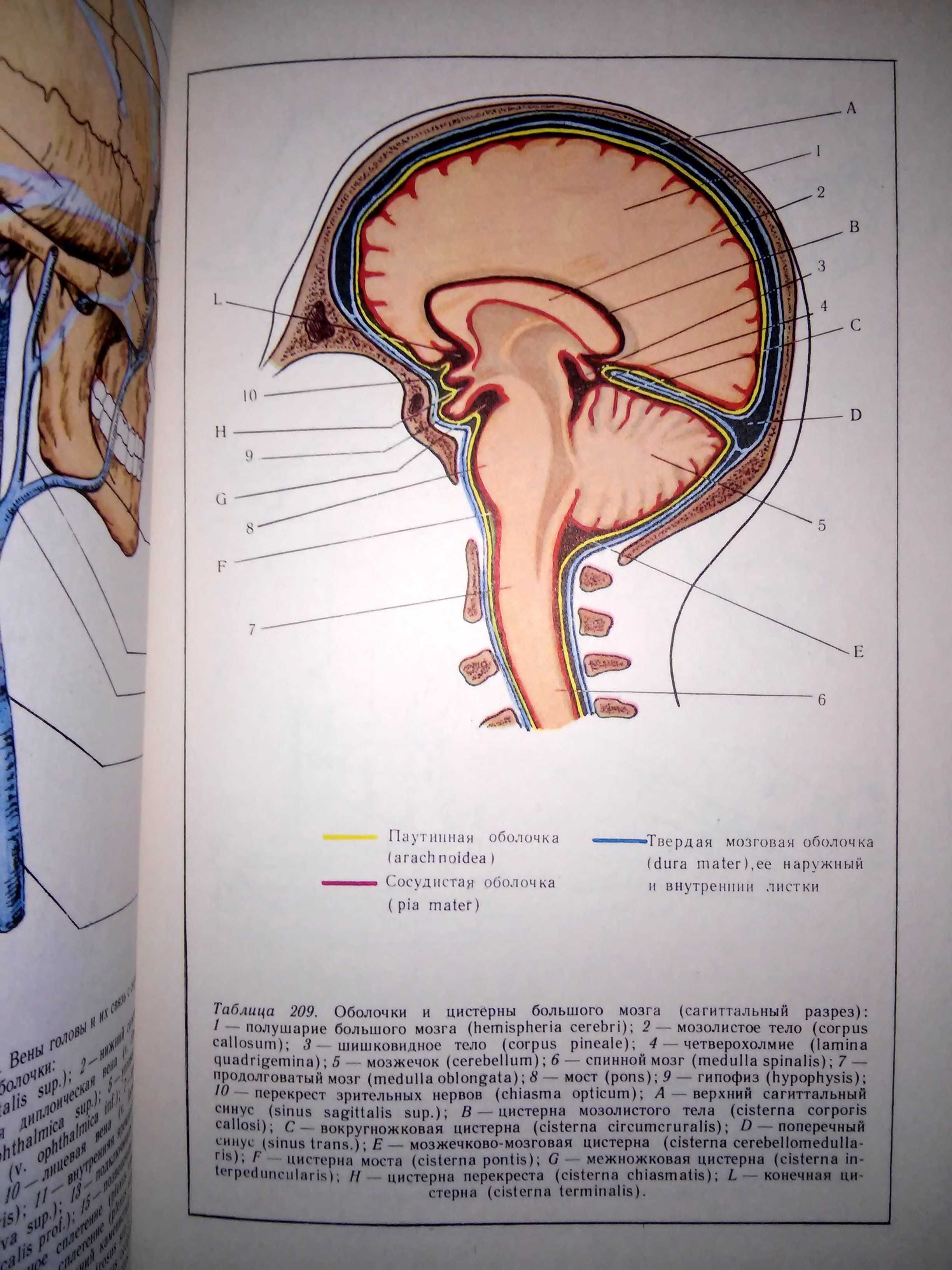 Сандригайло Анатомо-клинический атлас невропатологии 2-е изд. 1988