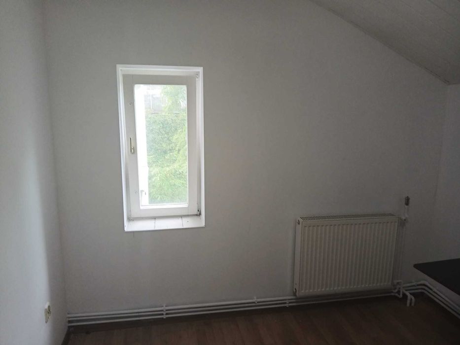 lokal do wynajęcia