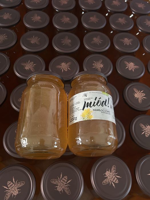 Miód nawłociowy 2025