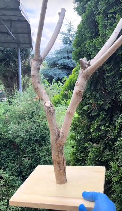 Натуральна Присада для папуг