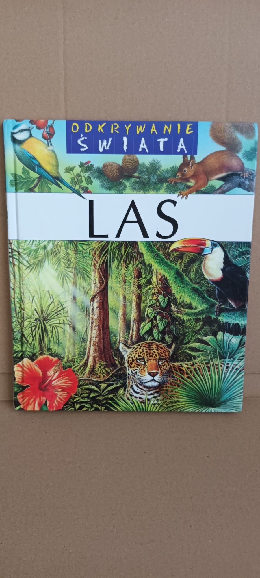 Odkrywanie Świata / Las / Encyklopedia