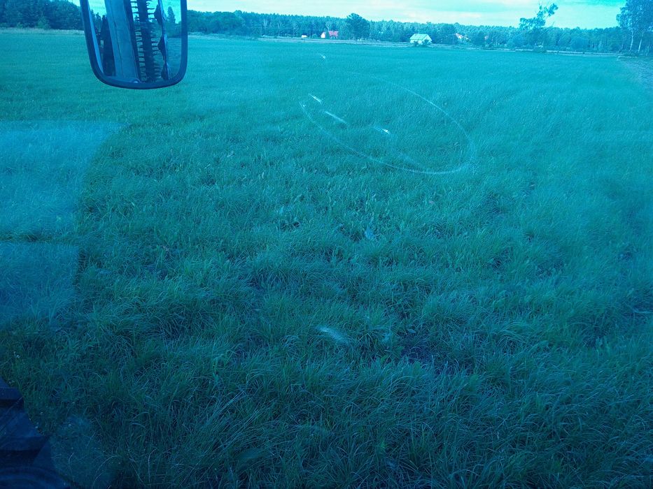 Siano suche belka 120 , dowóz do klienta