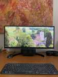 Monitor Ultrawide LG 29” polegadas 100% Funcional