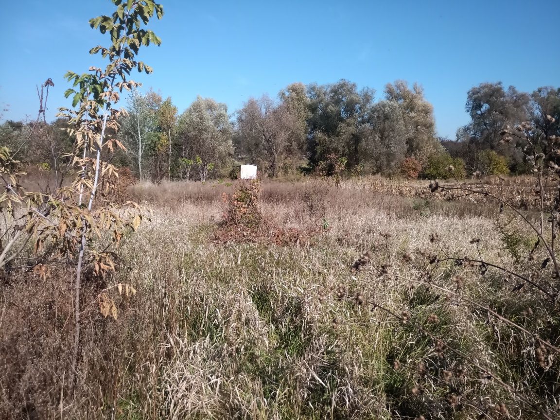 Продам земельну ділянку в с. Жуки