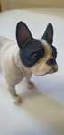Miniatura Bulldog Francês