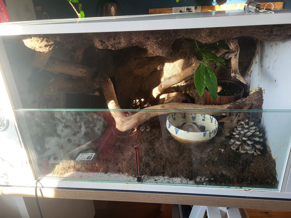 Terrarium 60x43x46