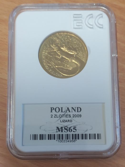 Jaszczurka zielona 2009 r. Grading MS 65 Polska