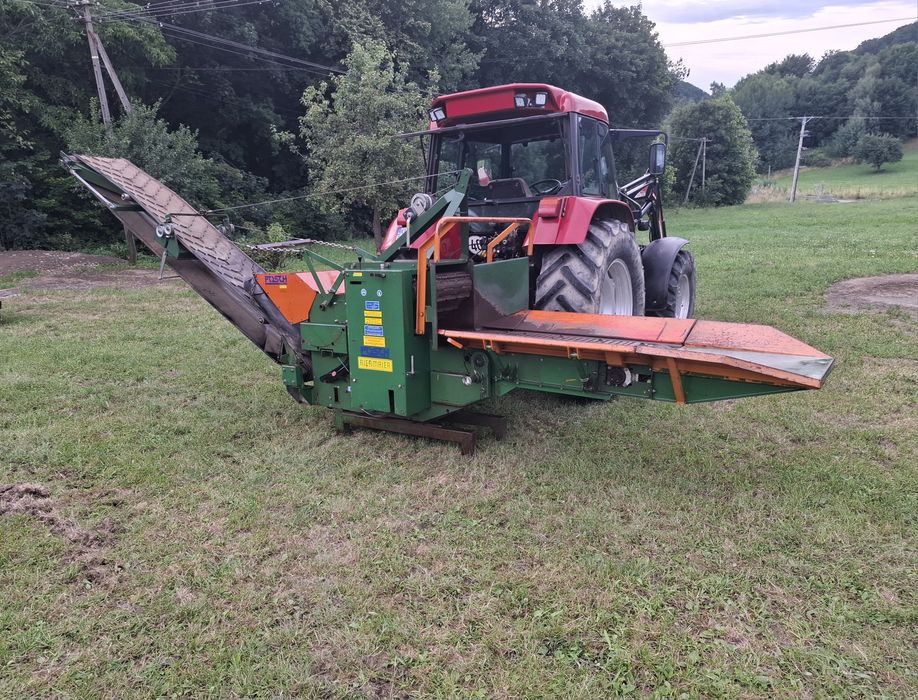 Rebak bijakowy posch