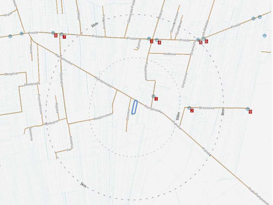 Nieruchomość gruntowa - Łosia Wólka, gmina Czosnów - 3164m2