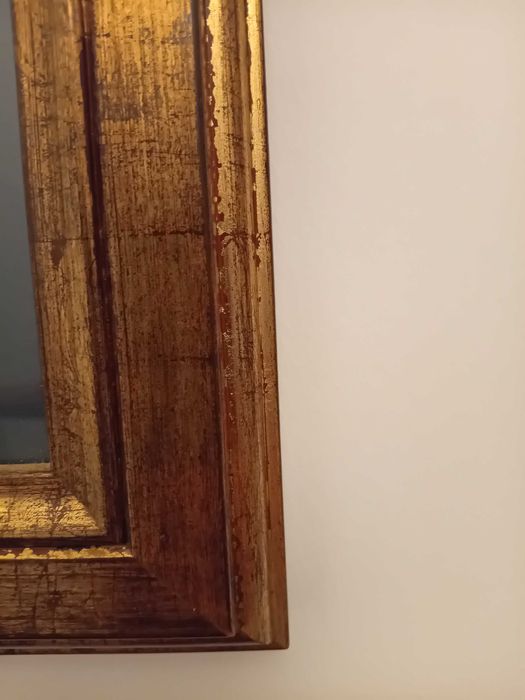 Conjunto de quadros com tema de galos, já emoldurados de cor dourada