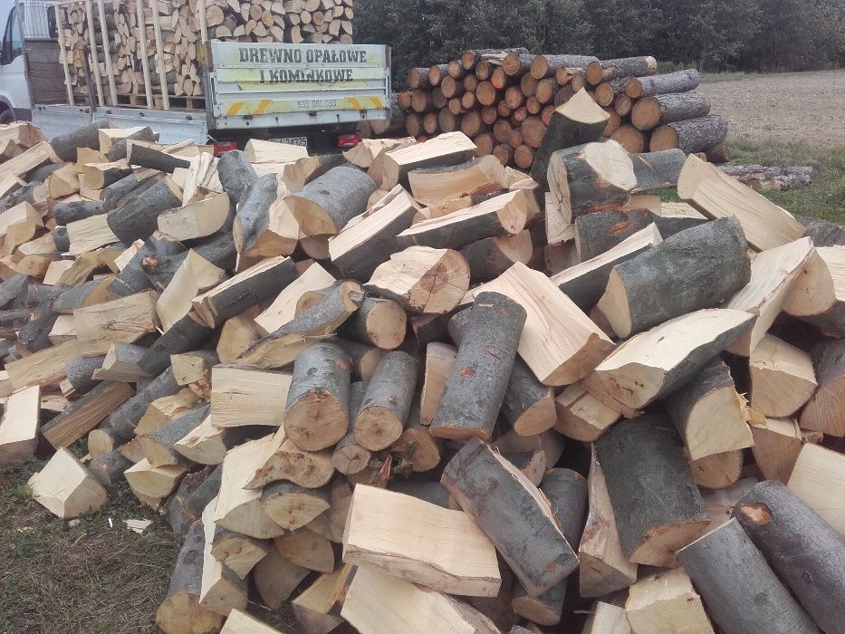 Drewno kominkowe buk
