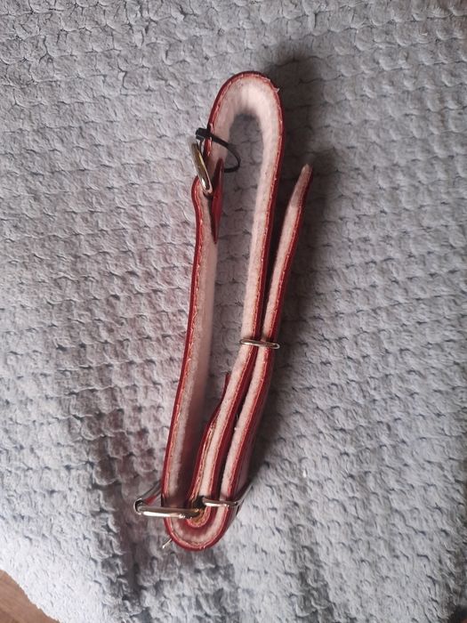 Obroża dla psa nowa