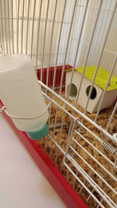 casa e bebedouro para hamster