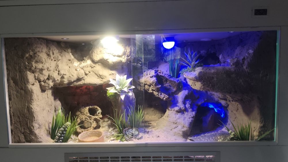 Terarium z oświetleniem