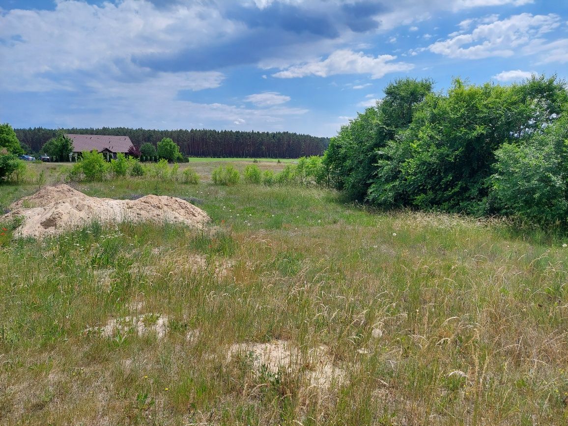 Działka budowlana Niesulice, działka nad jeziorem