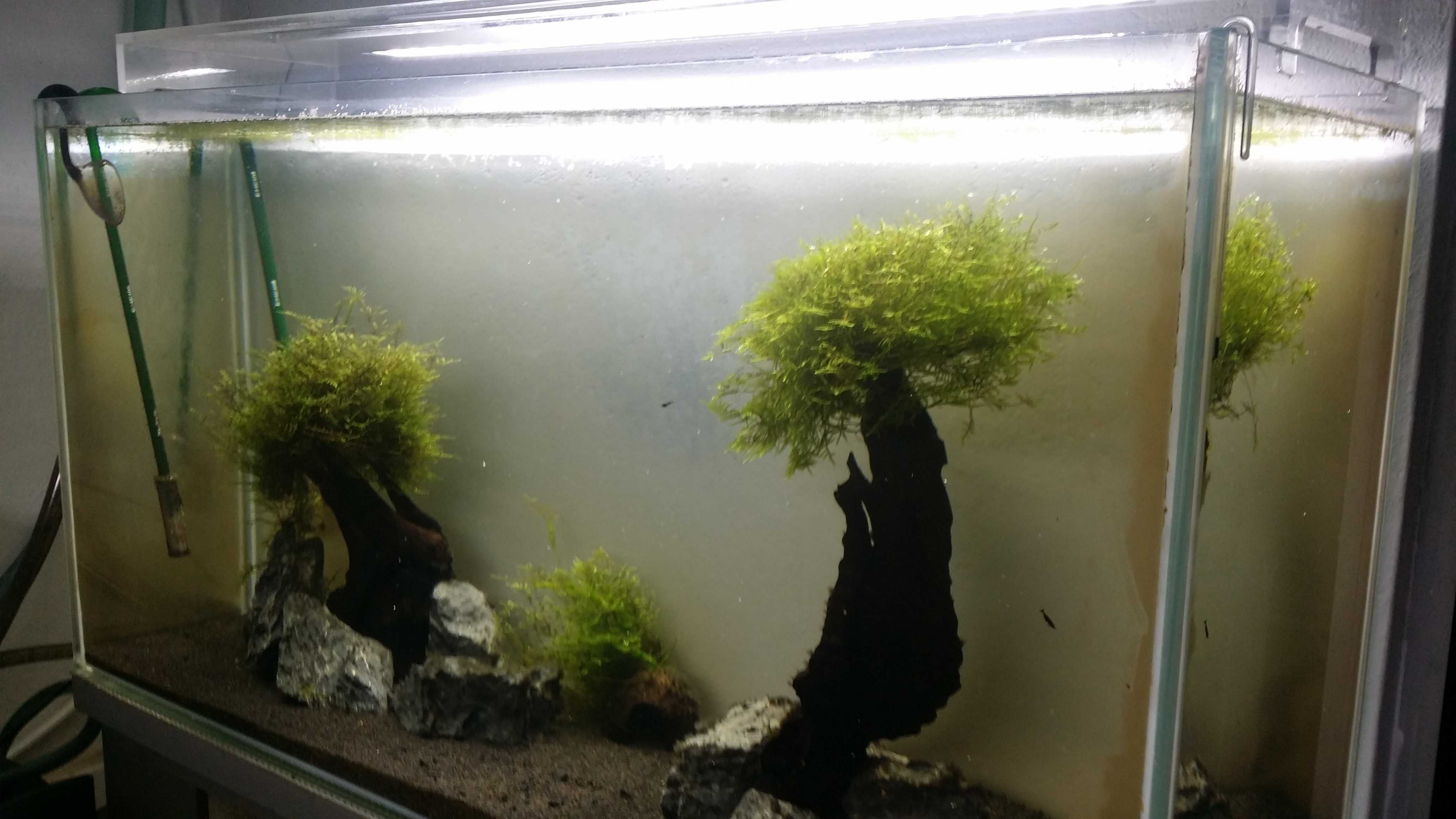 Aquario vidro extra claro 120cm