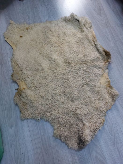 Dywan naturalny skóra baranek