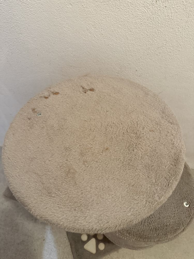 Ginasio para gatos