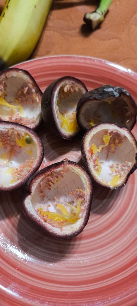 Vendo fruto: Maracujás