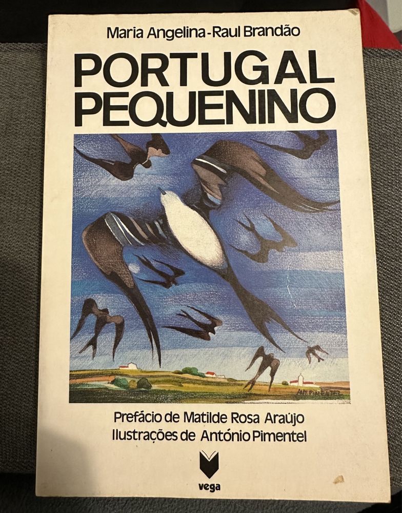 Livro Portugal Pequenino - Raul Brandão, edição ilustrada