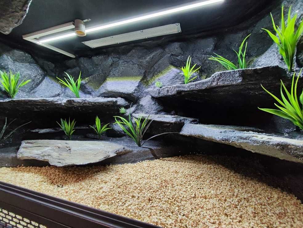 Terrarium pustynne nr535 120/60/60 dla agamy brodatej  NA ZAMÓWIENIE