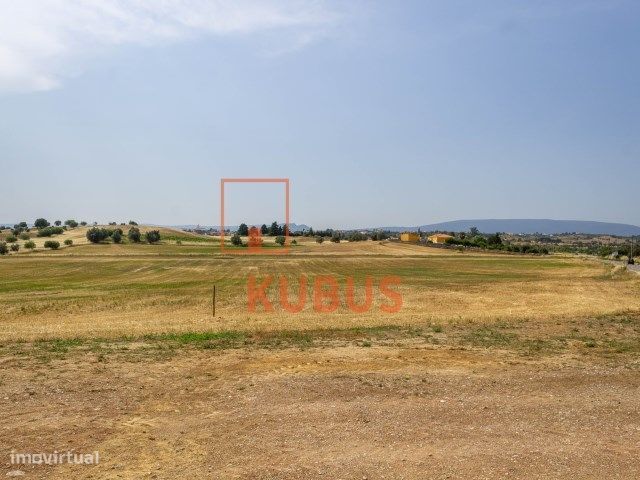 Terreno com Armazém - Charneca de Alcorochel