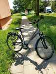 Rower Unibike Voyager grafitowy 28 cali rama
