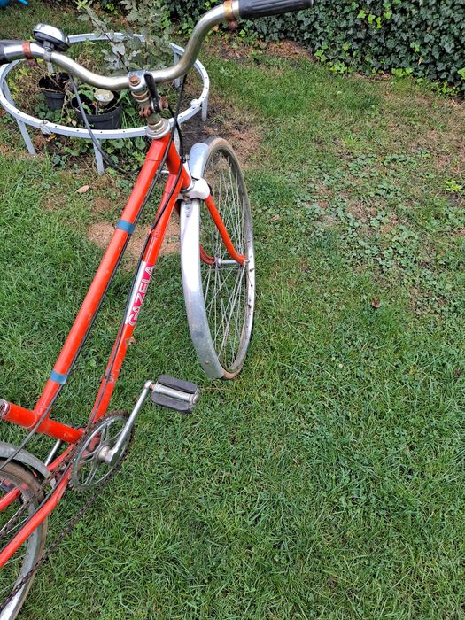 Stary Rower gazela tanio