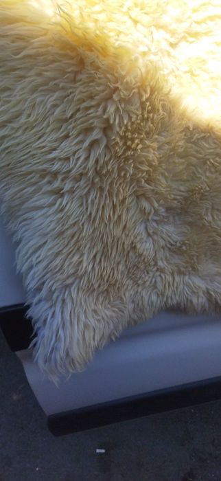 Шкіра натуральна м'яка